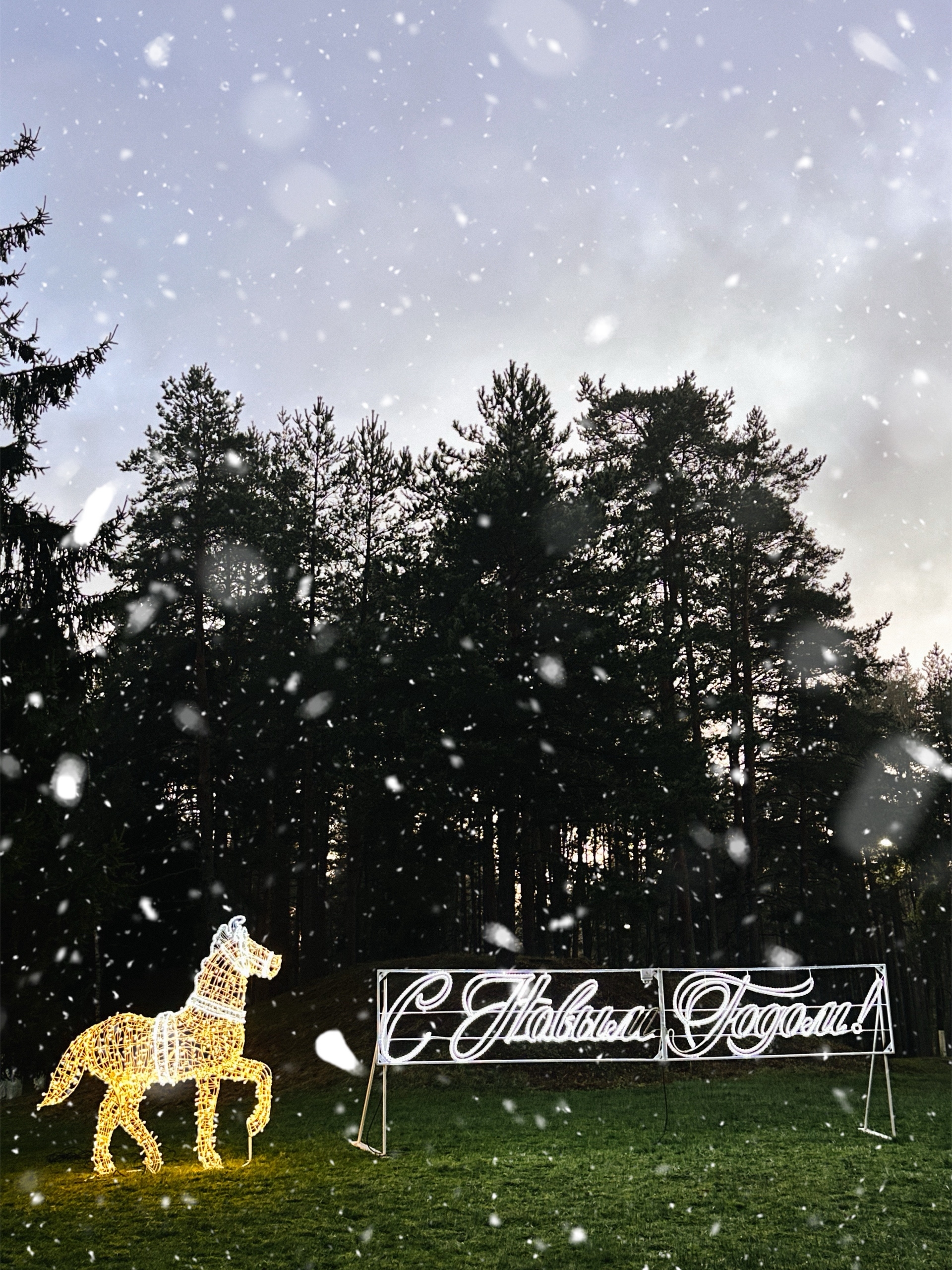 Модуль изображения